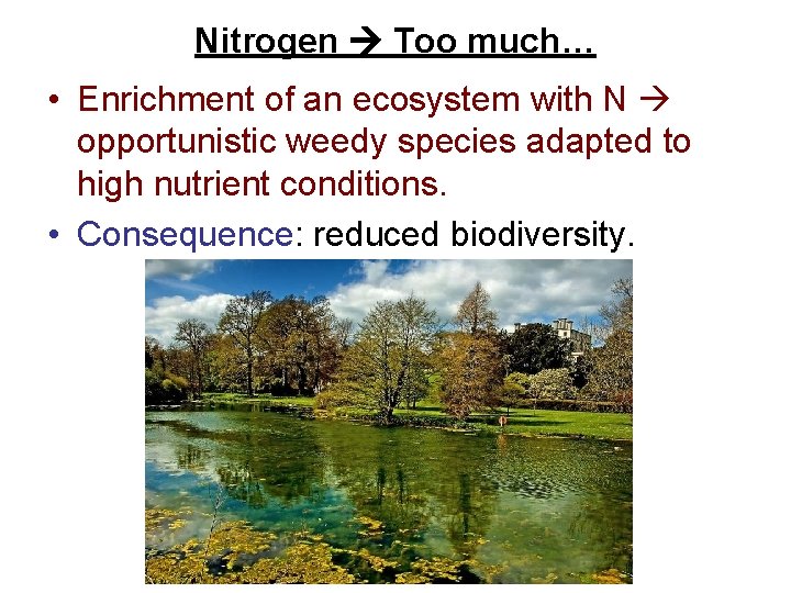 Nitrogen Too much… • Enrichment of an ecosystem with N opportunistic weedy species adapted