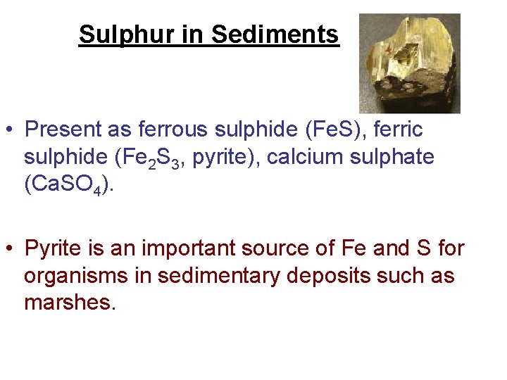 Sulphur in Sediments • Present as ferrous sulphide (Fe. S), ferric sulphide (Fe 2