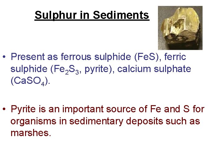 Sulphur in Sediments • Present as ferrous sulphide (Fe. S), ferric sulphide (Fe 2 Sulphur in Sediments • Present as ferrous sulphide (Fe. S), ferric sulphide (Fe 2