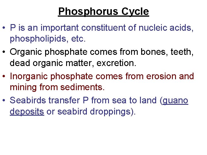 Phosphorus Cycle • P is an important constituent of nucleic acids, phospholipids, etc. •