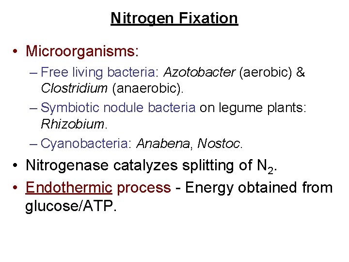 Nitrogen Fixation • Microorganisms: – Free living bacteria: Azotobacter (aerobic) & Clostridium (anaerobic). –