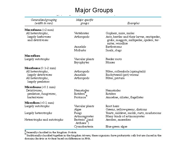 Major Groups 