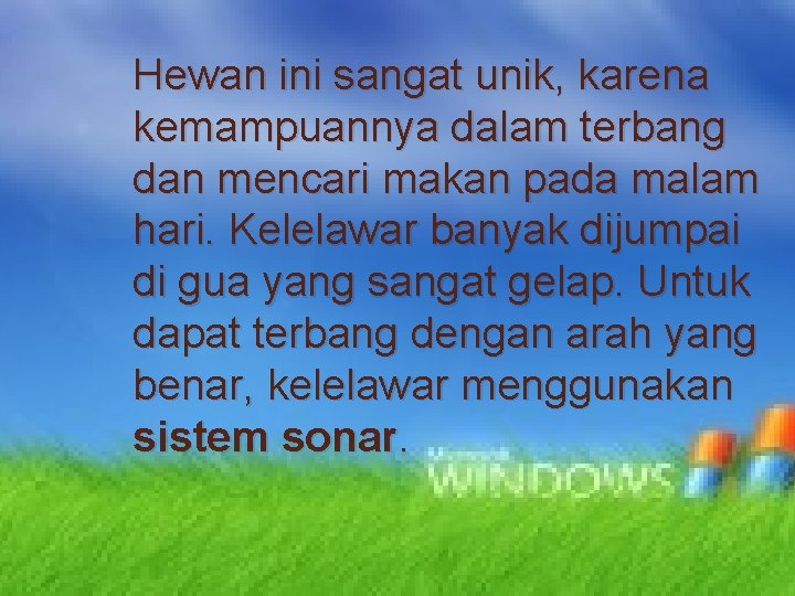 Hewan ini sangat unik, karena kemampuannya dalam terbang dan mencari makan pada malam hari.