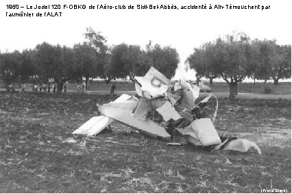 1960 – Le Jodel 120 F-OBKG de l’Aéro-club de Sidi-Bel-Abbès, accidenté à Aïn-Témouchent par