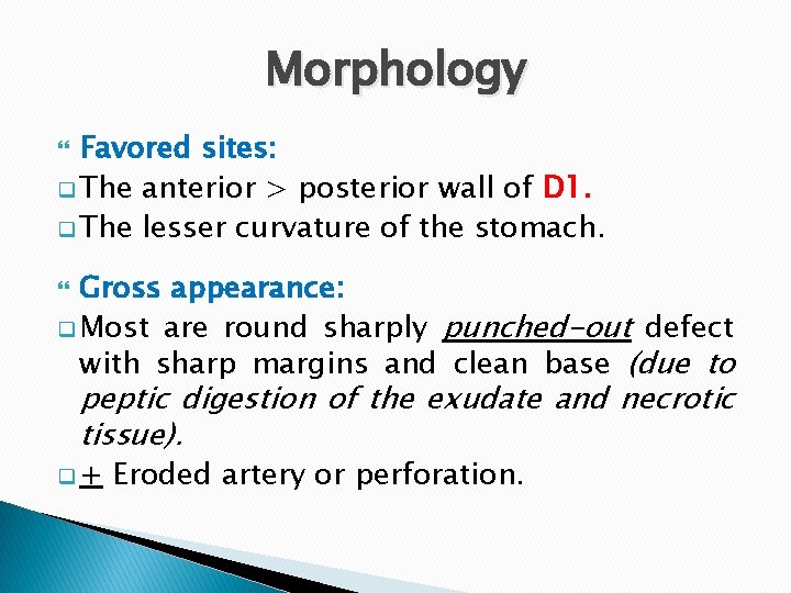 Morphology Favored sites: q The anterior > posterior wall of D 1. q The