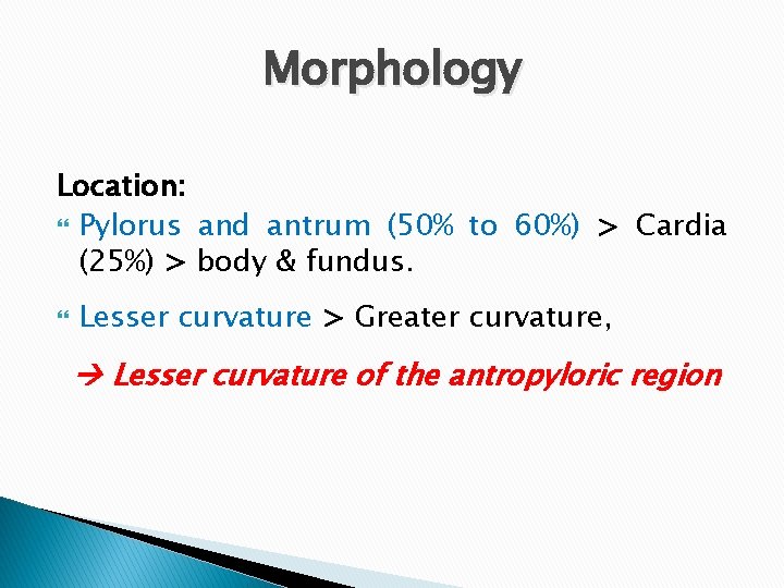 Morphology Location: Pylorus and antrum (50% to 60%) > Cardia (25%) > body &