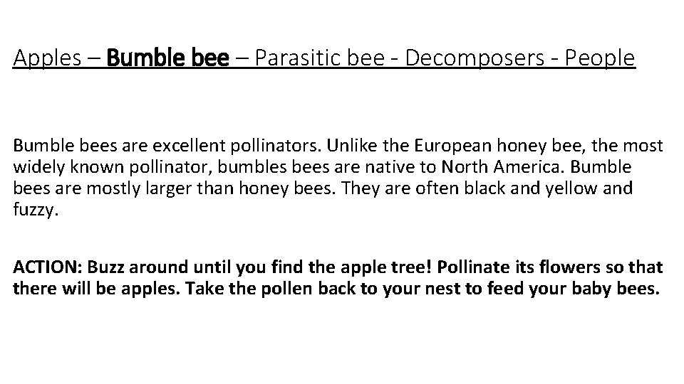 Apples – Bumble bee – Parasitic bee - Decomposers - People Bumble bees are