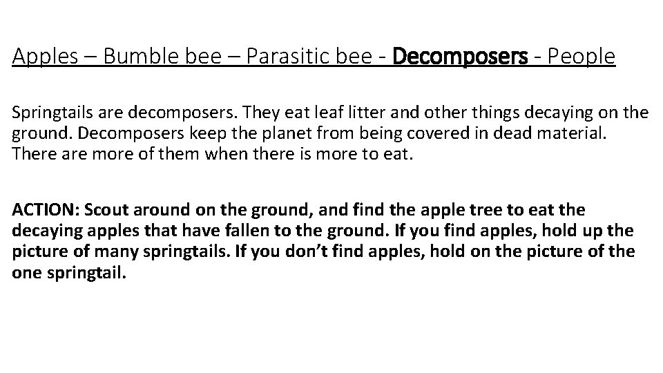 Apples – Bumble bee – Parasitic bee - Decomposers - People Springtails are decomposers.