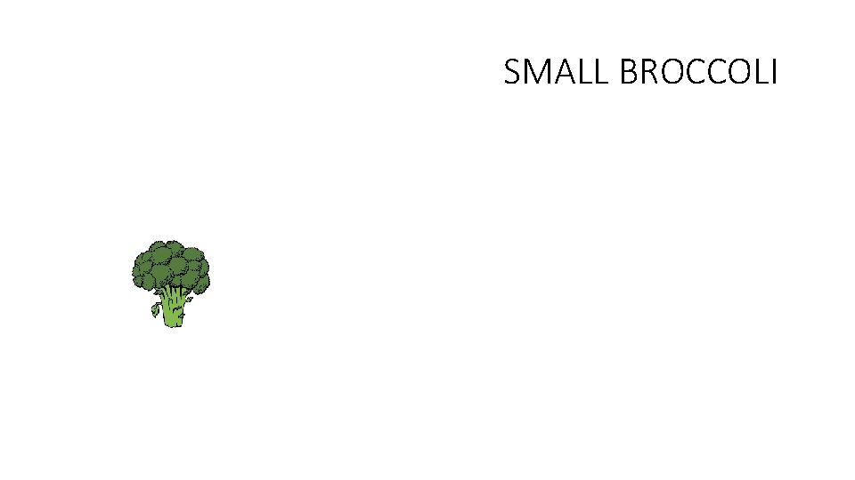 SMALL BROCCOLI 