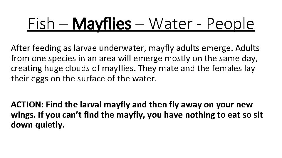 Fish – Mayflies – Water - People After feeding as larvae underwater, mayfly adults