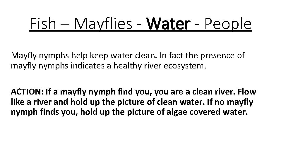 Fish – Mayflies - Water - People Mayfly nymphs help keep water clean. In