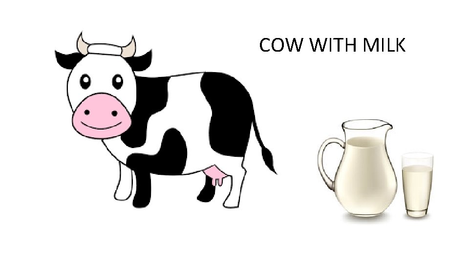 COW WITH MILK 