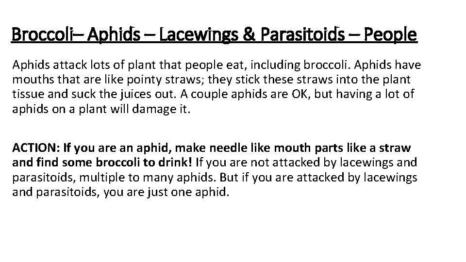 Broccoli– Aphids – Lacewings & Parasitoids – People Aphids attack lots of plant that