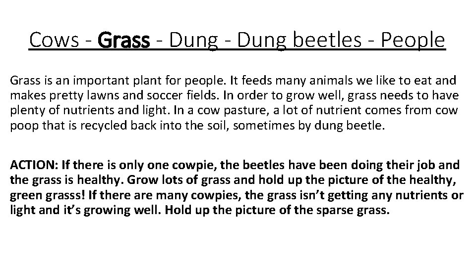 Cows - Grass - Dung beetles - People Grass is an important plant for