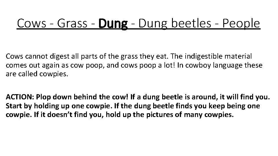 Cows - Grass - Dung beetles - People Cows cannot digest all parts of