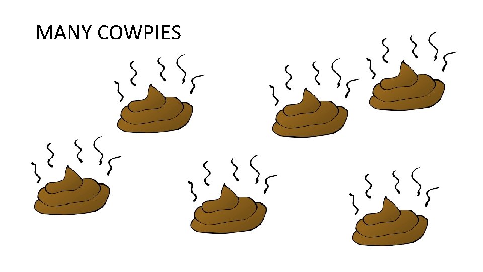 MANY COWPIES 