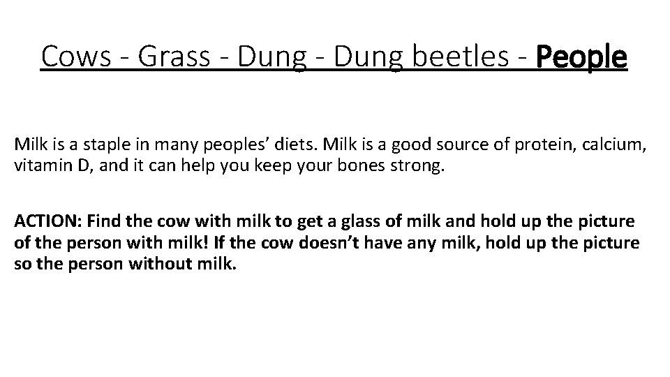 Cows - Grass - Dung beetles - People Milk is a staple in many