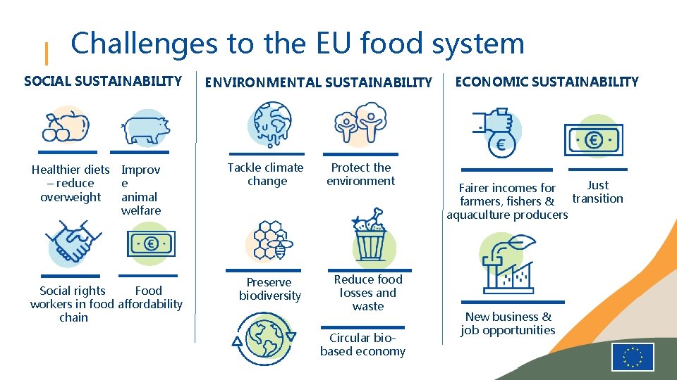 Opportunities for healthy sustainable European food systems The