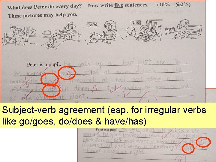 Subject-verb agreement (esp. for irregular verbs like go/goes, do/does & have/has) 