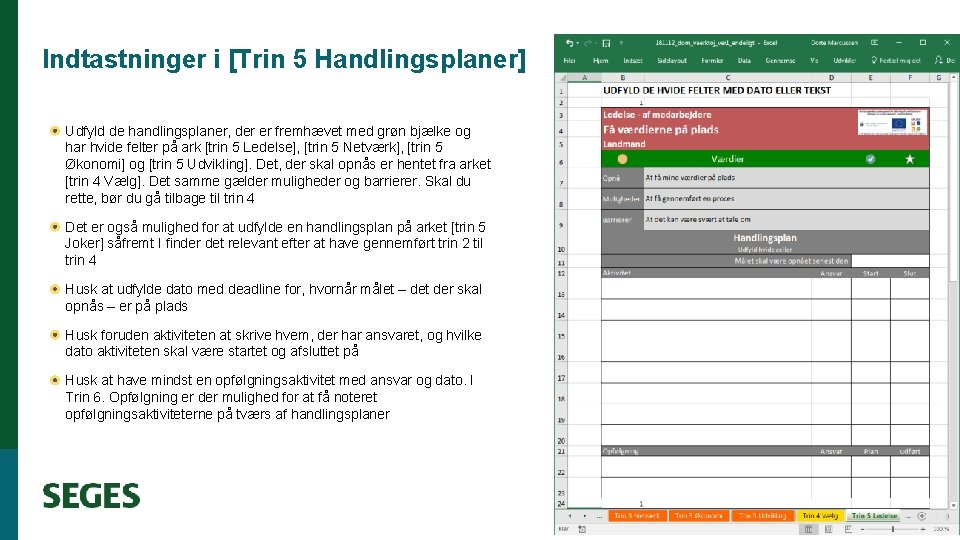 Indtastninger i [Trin 5 Handlingsplaner] Udfyld de handlingsplaner, der er fremhævet med grøn bjælke