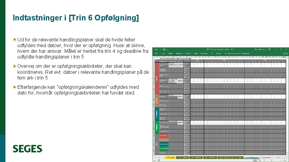 Indtastninger i [Trin 6 Opfølgning] Ud for de relevante handlingsplaner skal de hvide felter