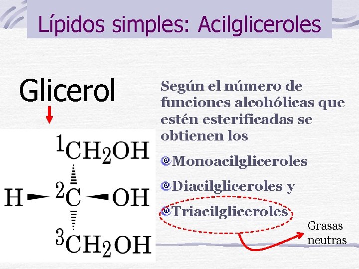 Lípidos simples: Acilgliceroles Glicerol Según el número de funciones alcohólicas que estén esterificadas se