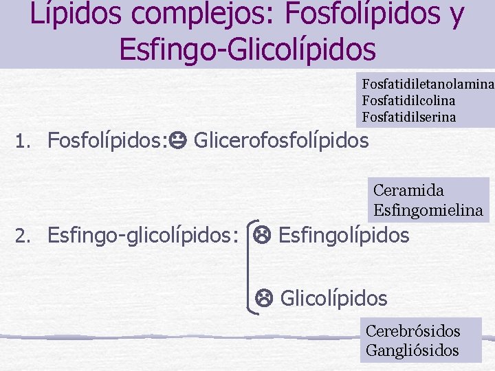 Lípidos complejos: Fosfolípidos y Esfingo-Glicolípidos Fosfatidiletanolamina Fosfatidilcolina Fosfatidilserina 1. Fosfolípidos: Glicerofosfolípidos Ceramida Esfingomielina 2.