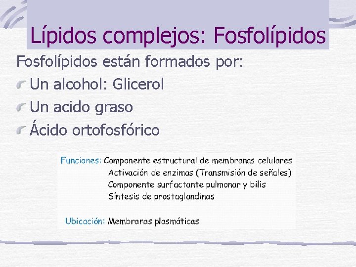 Lípidos complejos: Fosfolípidos están formados por: Un alcohol: Glicerol Un acido graso Ácido ortofosfórico