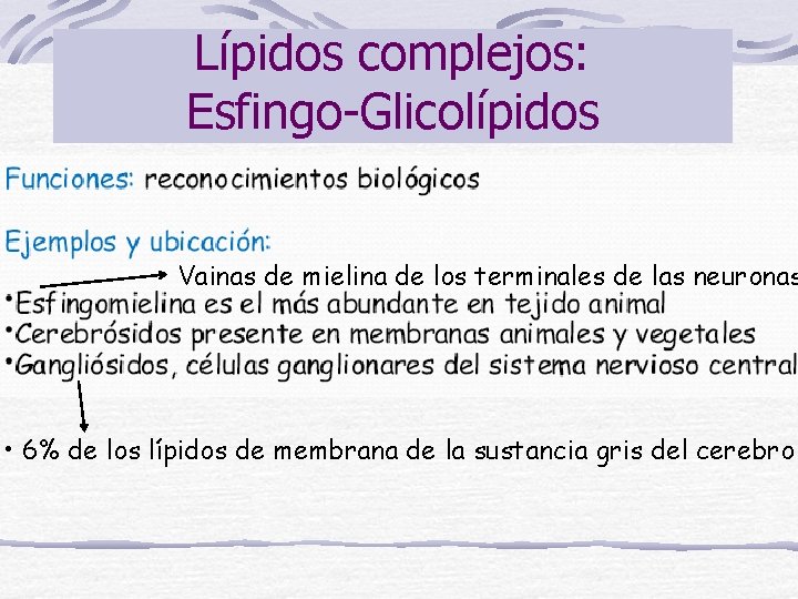 Lípidos complejos: Esfingo-Glicolípidos • Vainas de mielina de los terminales de las neuronas •