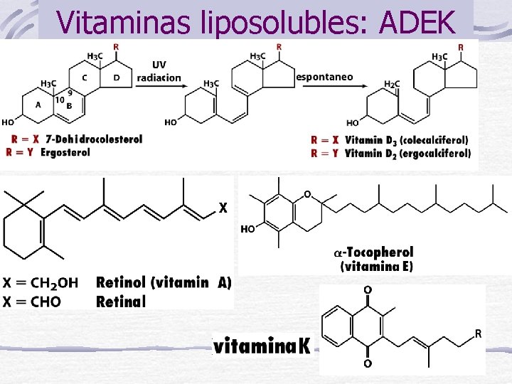 Vitaminas liposolubles: ADEK 