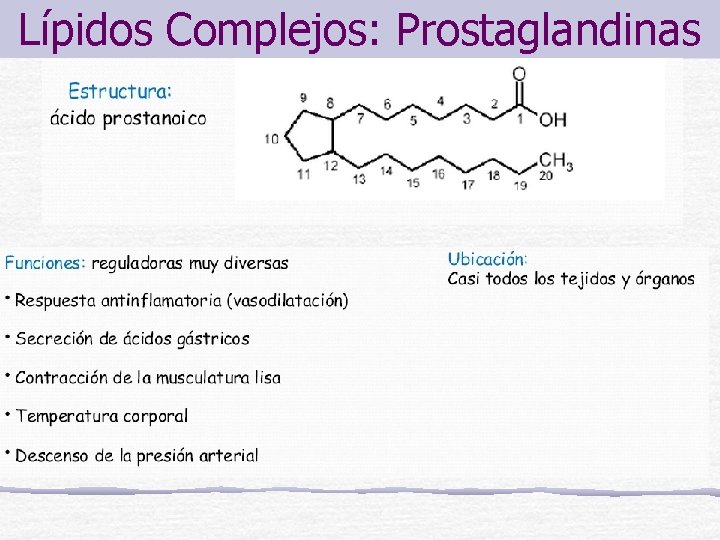Lípidos Complejos: Prostaglandinas 