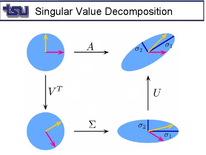 Singular Value Decomposition 