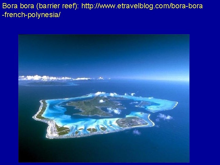 Bora bora (barrier reef): http: //www. etravelblog. com/bora-bora -french-polynesia/ 