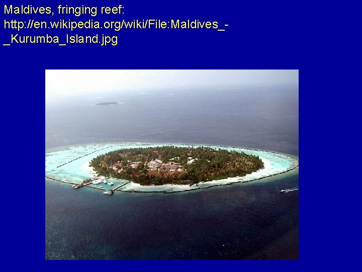 Maldives, fringing reef: http: //en. wikipedia. org/wiki/File: Maldives__Kurumba_Island. jpg 