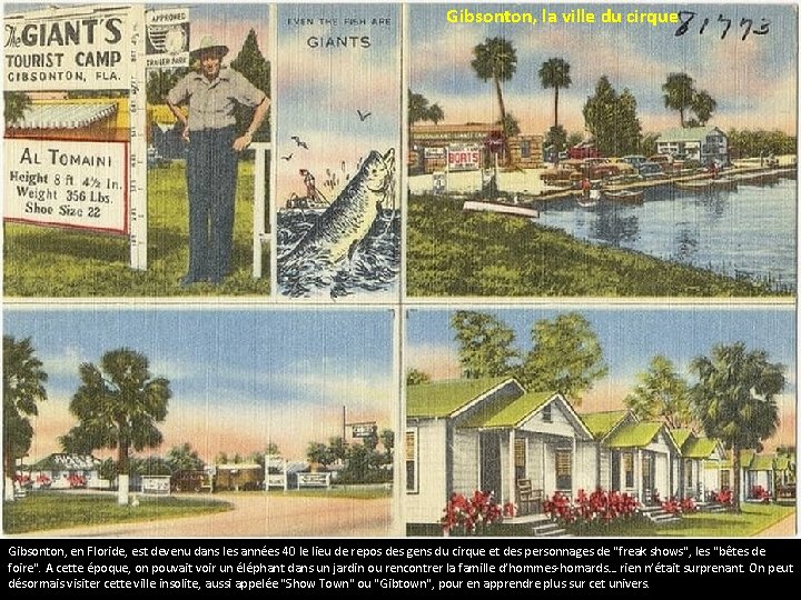 Gibsonton, la ville du cirque Gibsonton, en Floride, est devenu dans les années 40