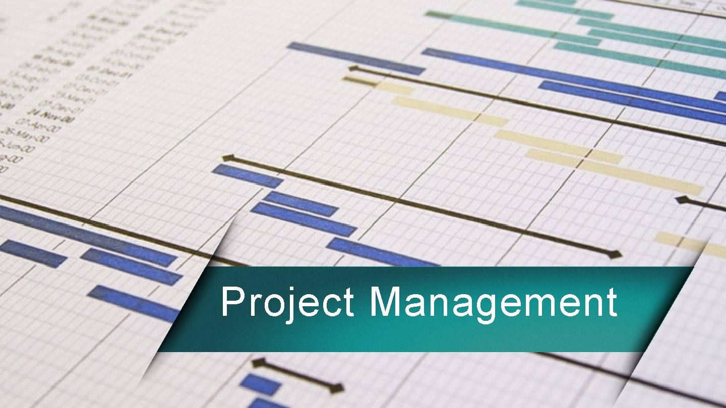 Project Management 