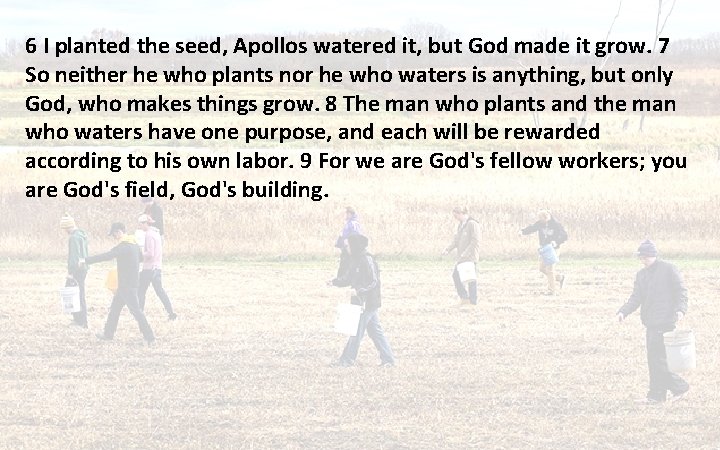 6 I planted the seed, Apollos watered it, but God made it grow. 7