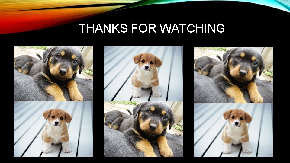 THANKS FOR WATCHING 