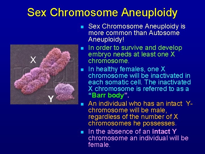 Sex Chromosome Aneuploidy n n n Sex Chromosome Aneuploidy is more common than Autosome