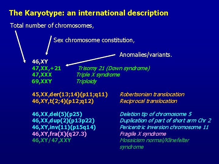 The Karyotype: an international description Total number of chromosomes, Sex chromosome constitution, 46, XY