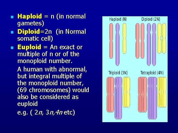 n n n Haploid = n (in normal gametes) Diploid=2 n (in Normal somatic