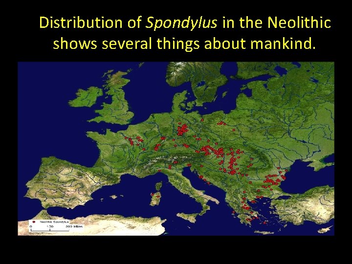 Distribution of Spondylus in the Neolithic shows several things about mankind. 