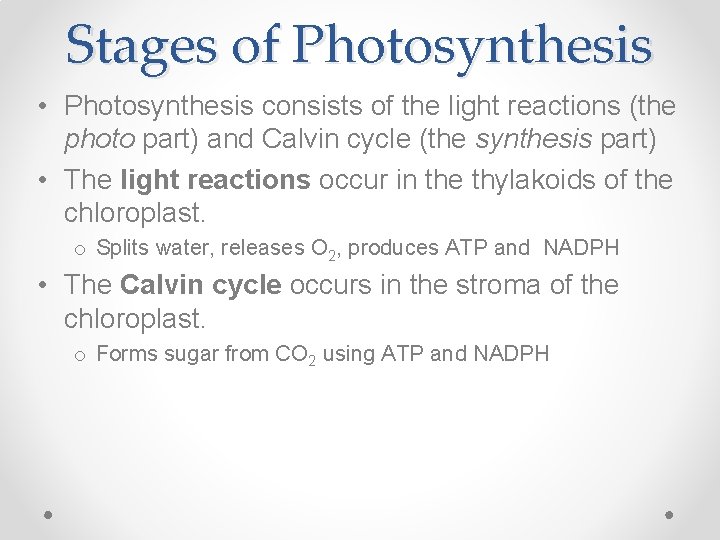 Stages of Photosynthesis • Photosynthesis consists of the light reactions (the photo part) and