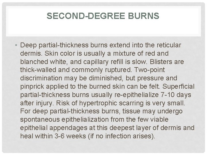 SECOND-DEGREE BURNS • Deep partial-thickness burns extend into the reticular dermis. Skin color is