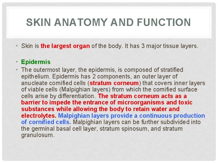 SKIN ANATOMY AND FUNCTION • Skin is the largest organ of the body. It