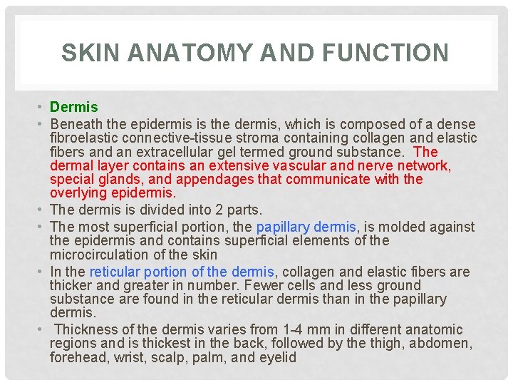 SKIN ANATOMY AND FUNCTION • Dermis • Beneath the epidermis is the dermis, which