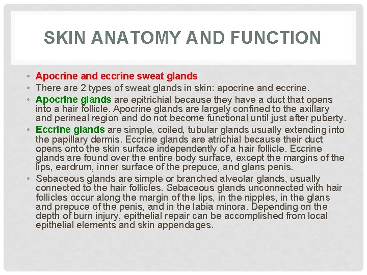 SKIN ANATOMY AND FUNCTION • Apocrine and eccrine sweat glands • There are 2