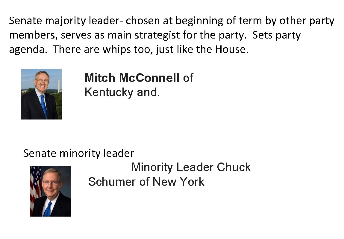 Senate majority leader- chosen at beginning of term by other party members, serves as