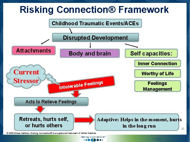 Risking Connection® Framework Childhood Traumatic Events/ACEs Disrupted Development Attachments Body and brain Self capacities: