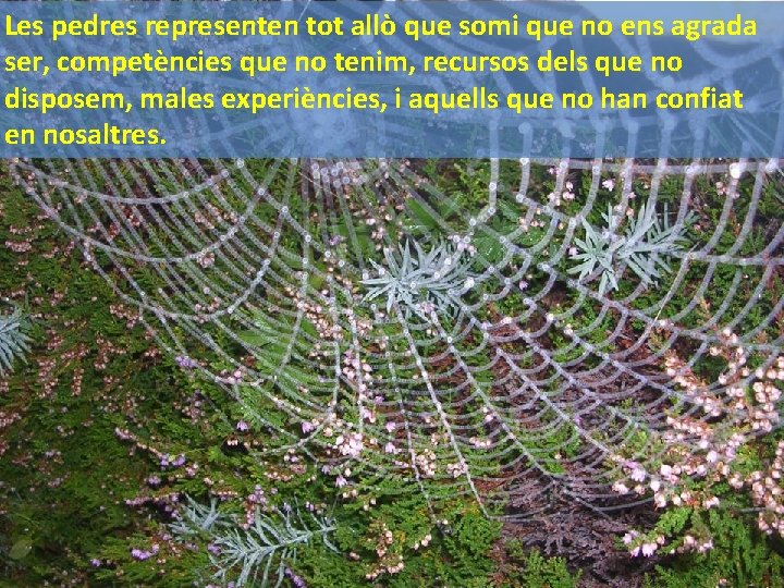 Les pedres representen tot allò que somi que no ens agrada ser, competències que Les pedres representen tot allò que somi que no ens agrada ser, competències que